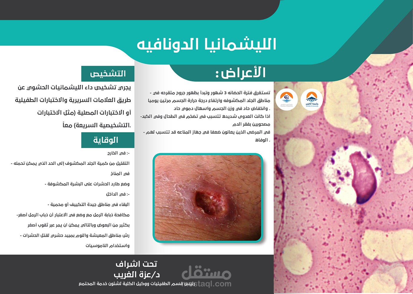 medical brochure