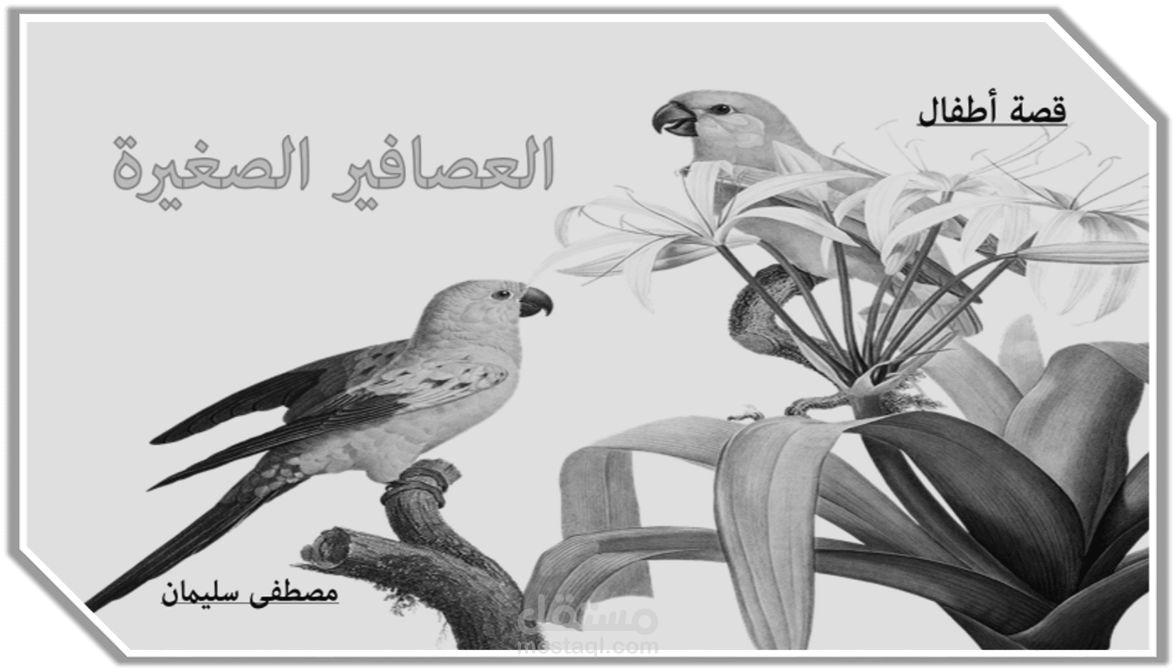 العصافير الصغيرة