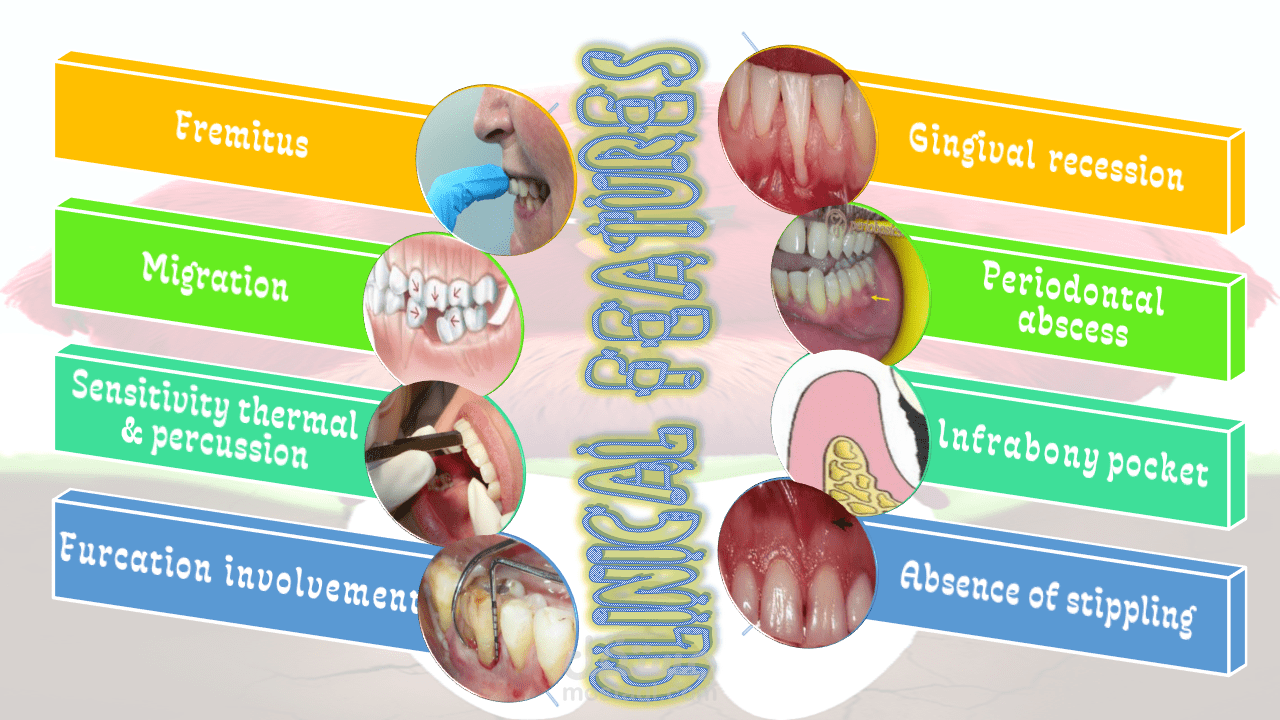 عروض بوربوينت وتصاميم احترافية ودورات تدريبية 1