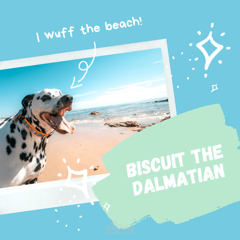 تصميم شعارات لوغو محترفة