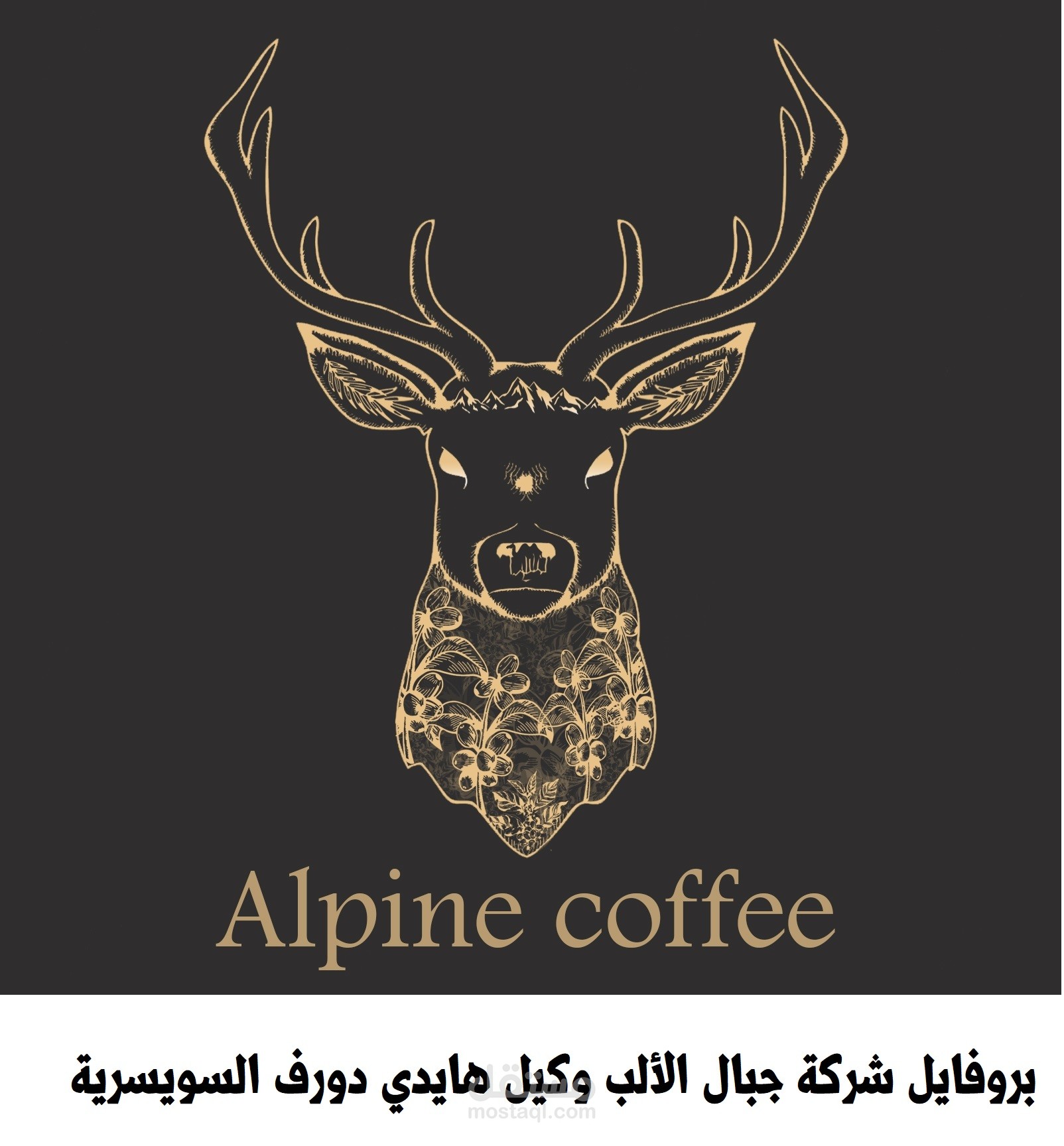 إعداد بروفايل شركة جبال الألب وكيل هايدي دورف السويسرية - السعودية