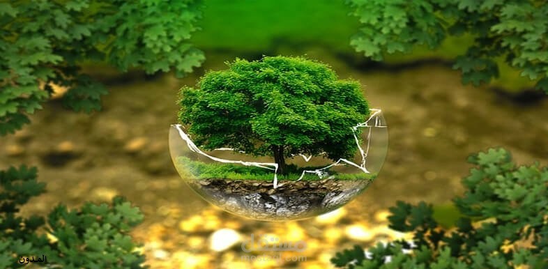 البيئة الطبيعية ومفهومها وعلاقتها بالإنسان_المـــدون