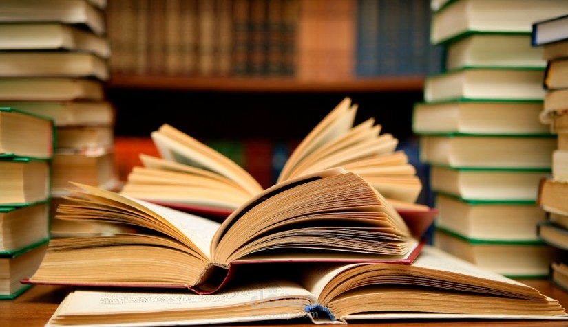 تدقيق لغوي لكتاب أدبي