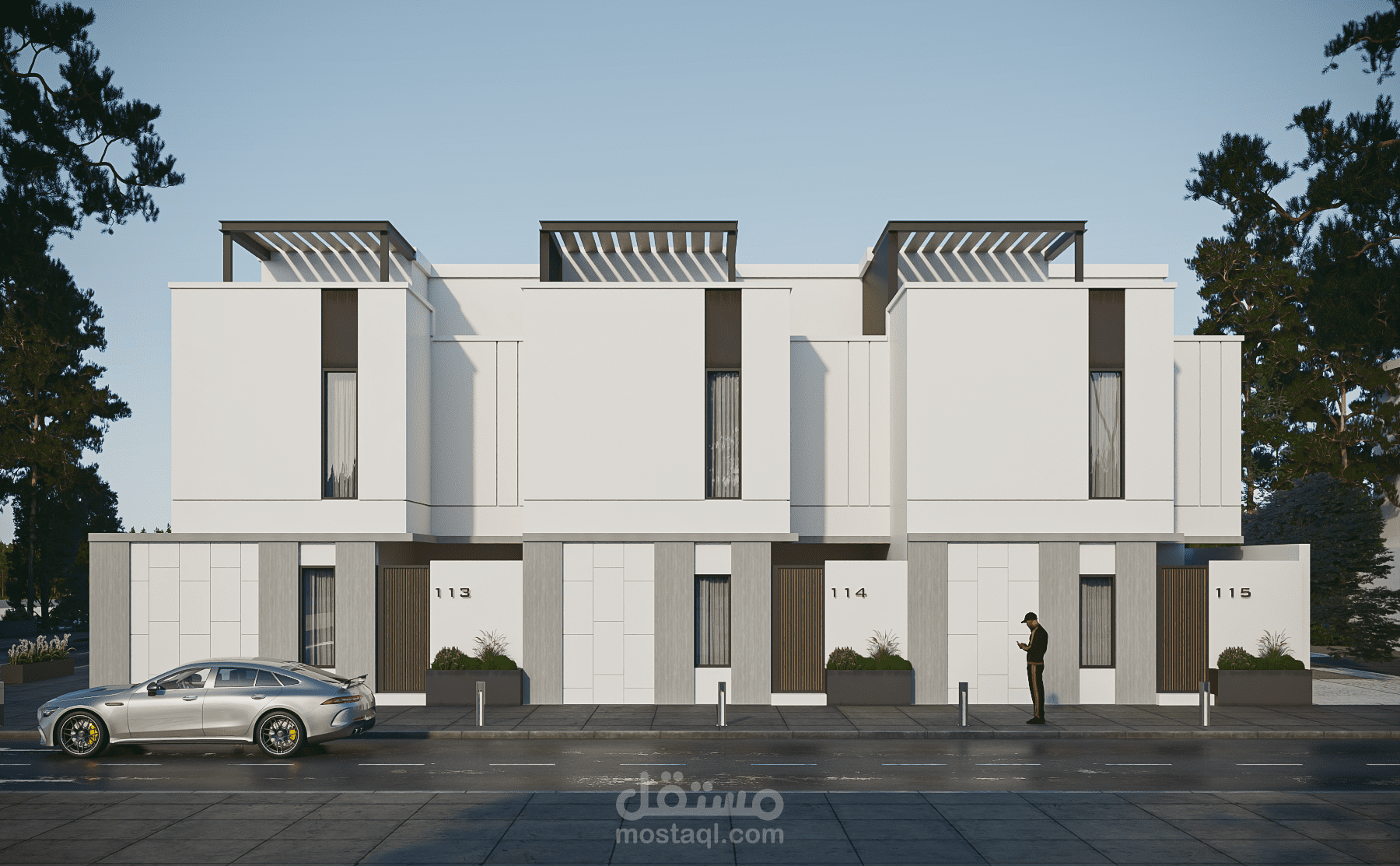 Exterior design / Modern Villa