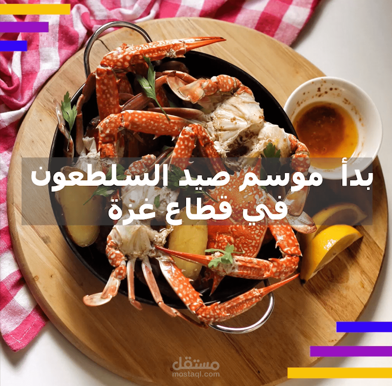 انفوفيديو