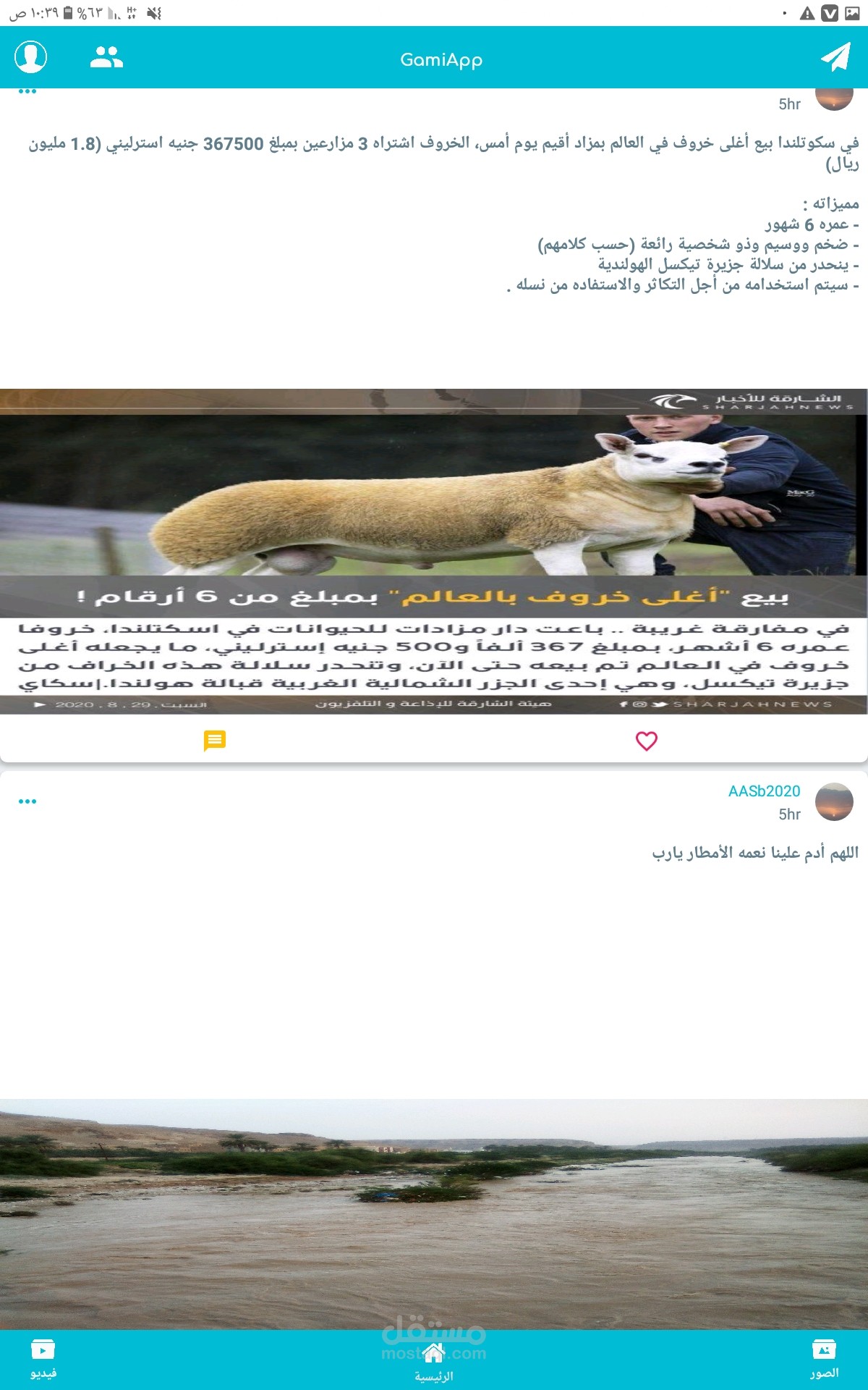 برمجة تطبيق تواصل اجتماعي