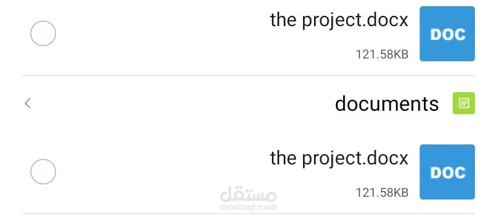 The project