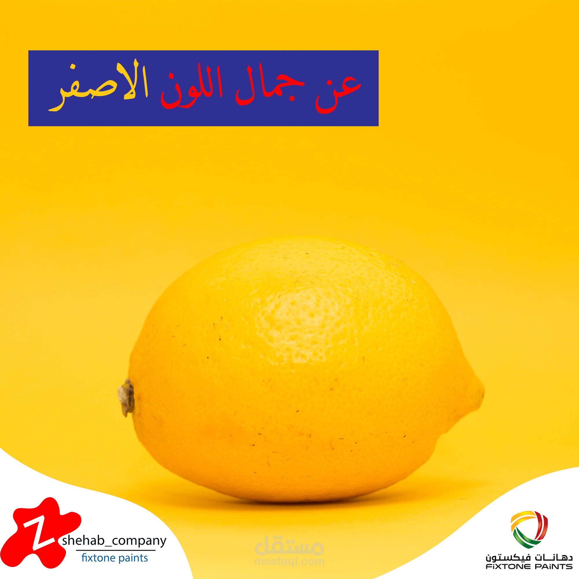 تصميم لشركة دهانات