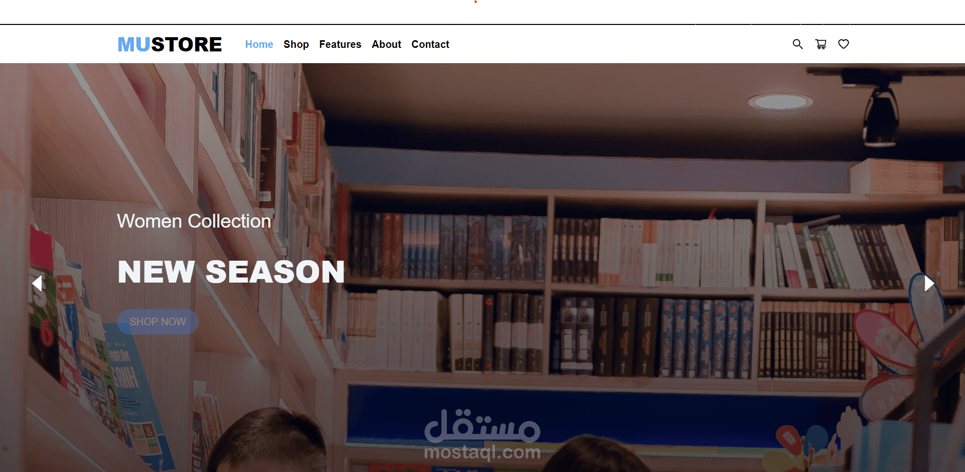 ecommerce website