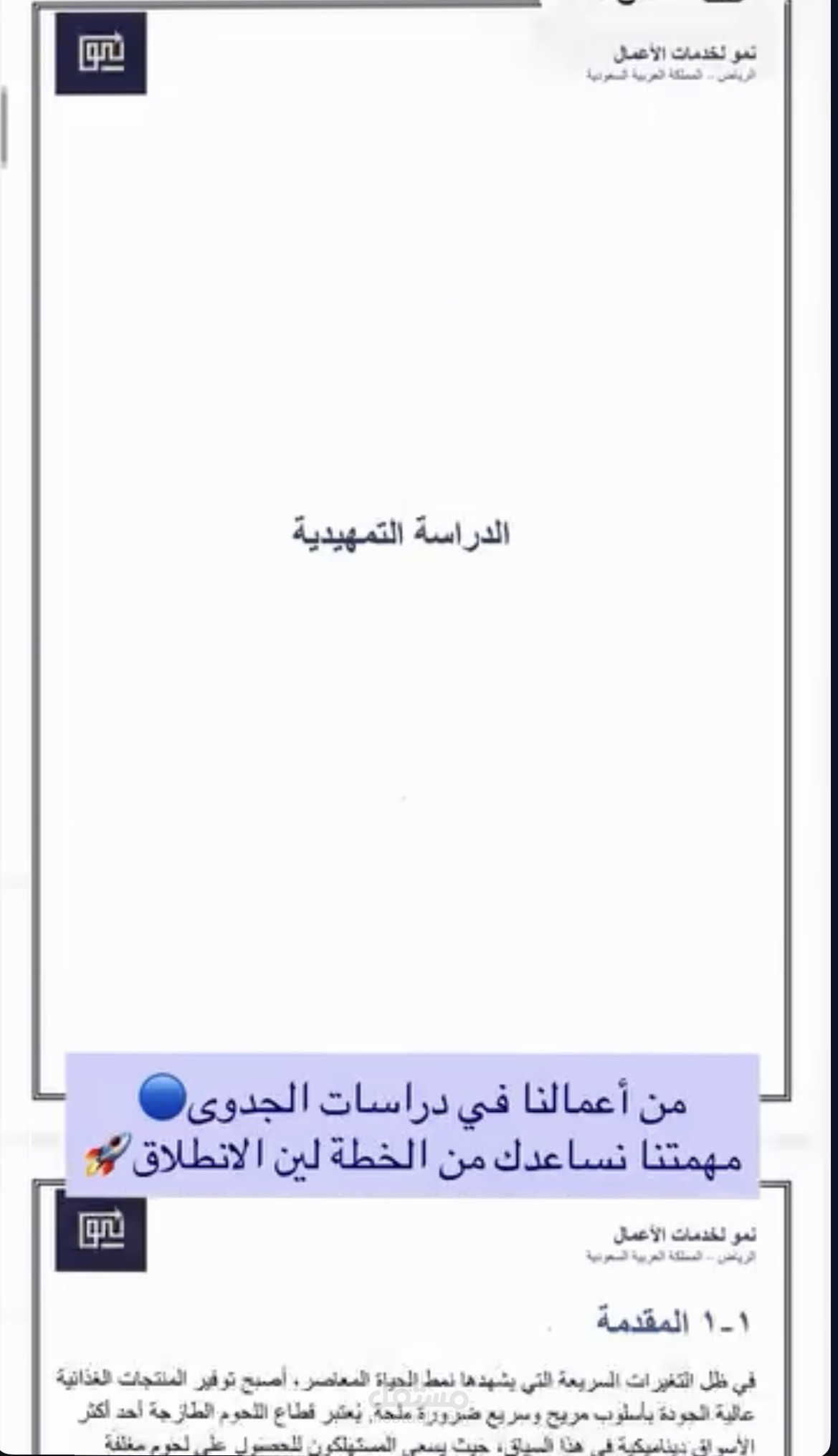 دراسات جدوى و خطط استراتيجية للشركات والمشاريع