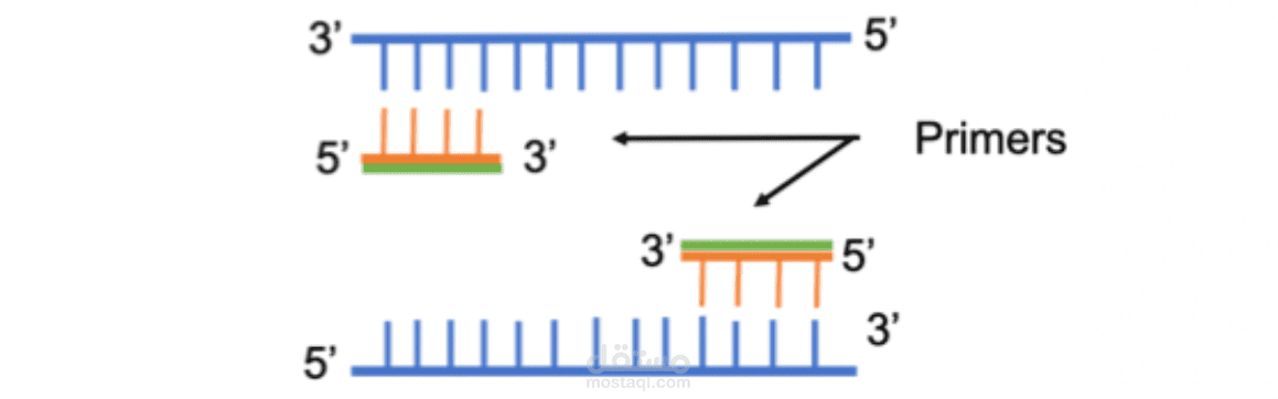 Bioinformatics Services