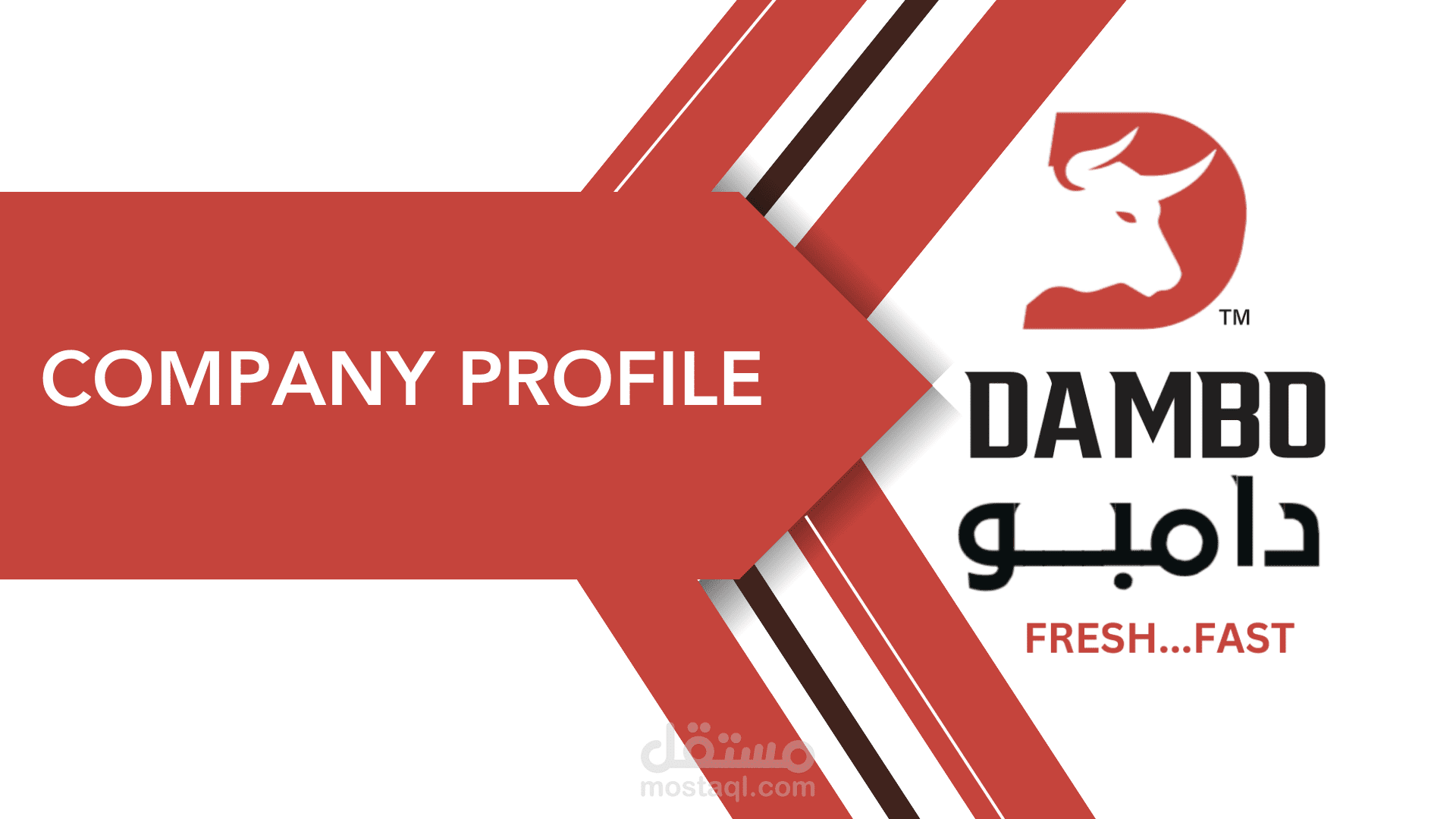 بروفايل شركة لصالح شركة دامبو للحوم