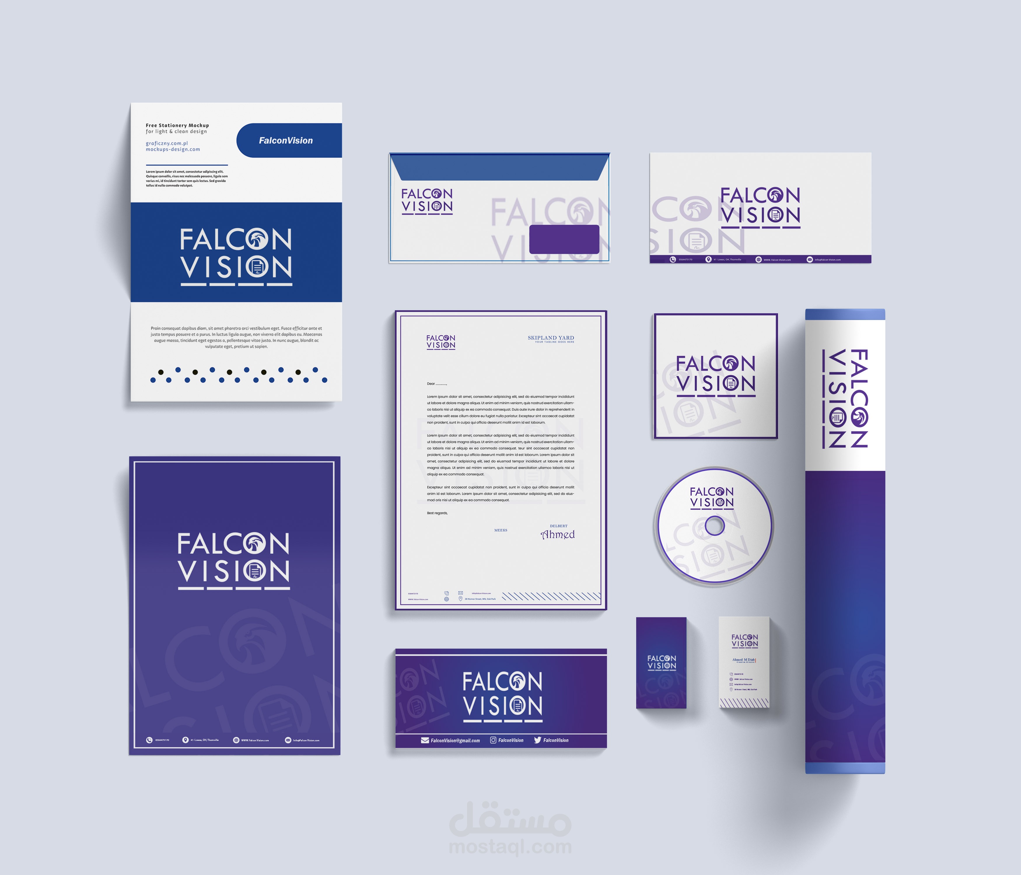Visual Identity  For  FALCON VISION
