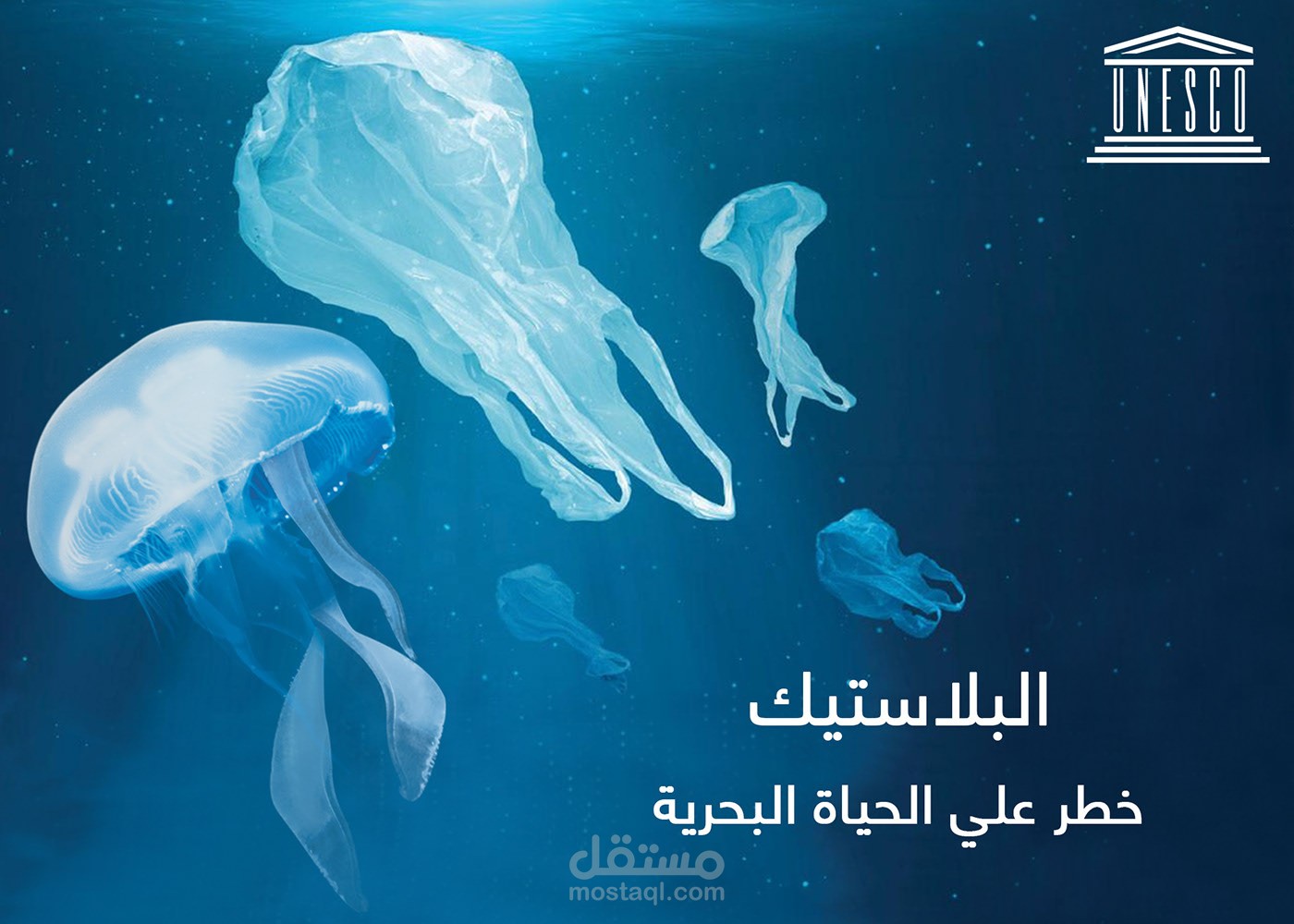 البلاستيك والكائنات البحرية