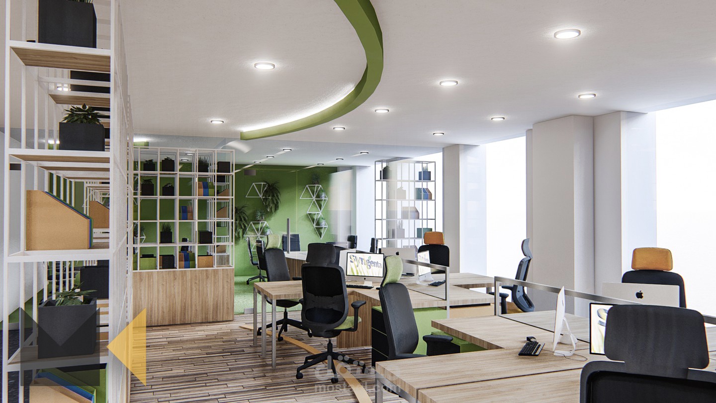 SYNGENTA COMPANY DOWNSIZING