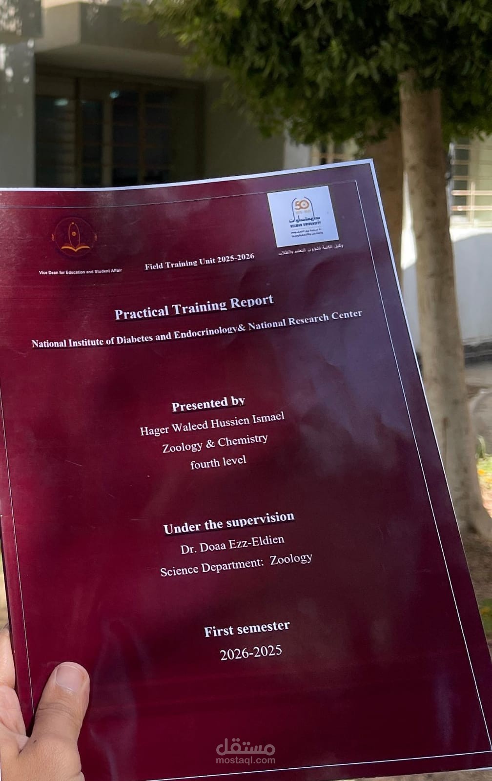 كتابة وتنسيق ملفات Word