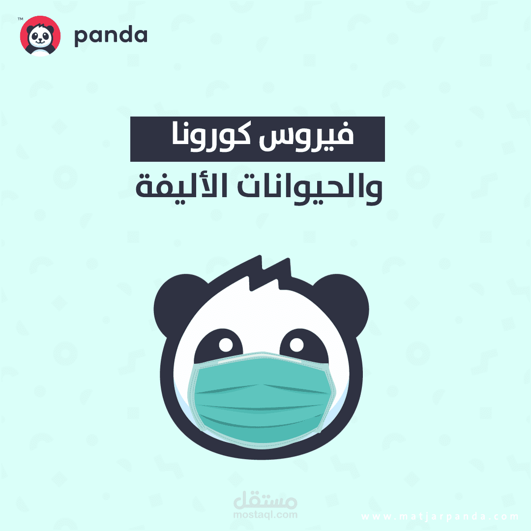 تصاميم | سوشيال ميديا شركة باندا