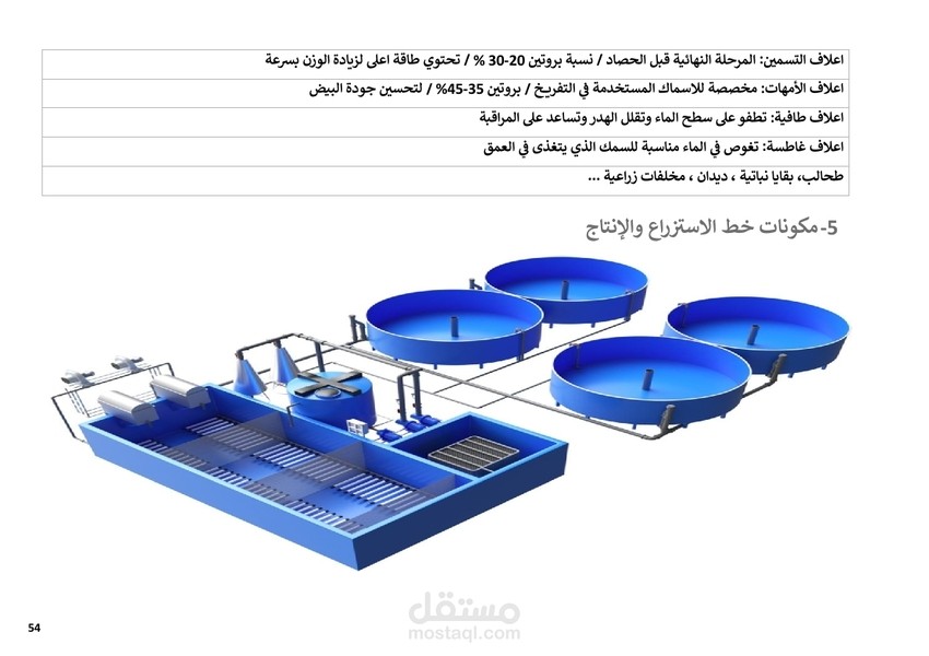 دراسة جدوى مشروع استزراع سمك البلطي بنظام ras او نظام مفتوح