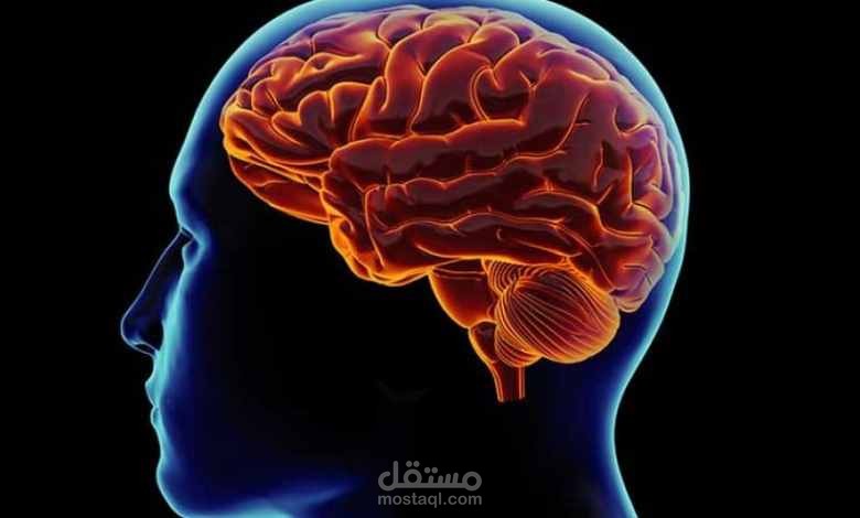 3 خطوات لتجعل عقلك يعمل من أجلك