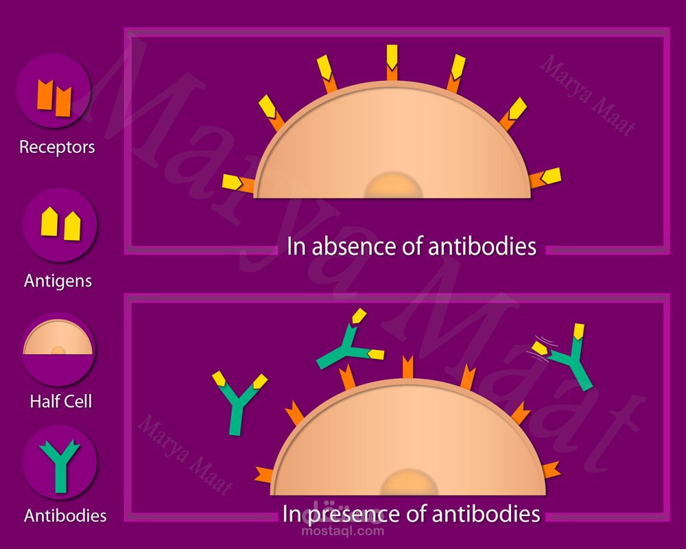 رسوم توضيحية مخصصة للكتب والشروحات Infographie