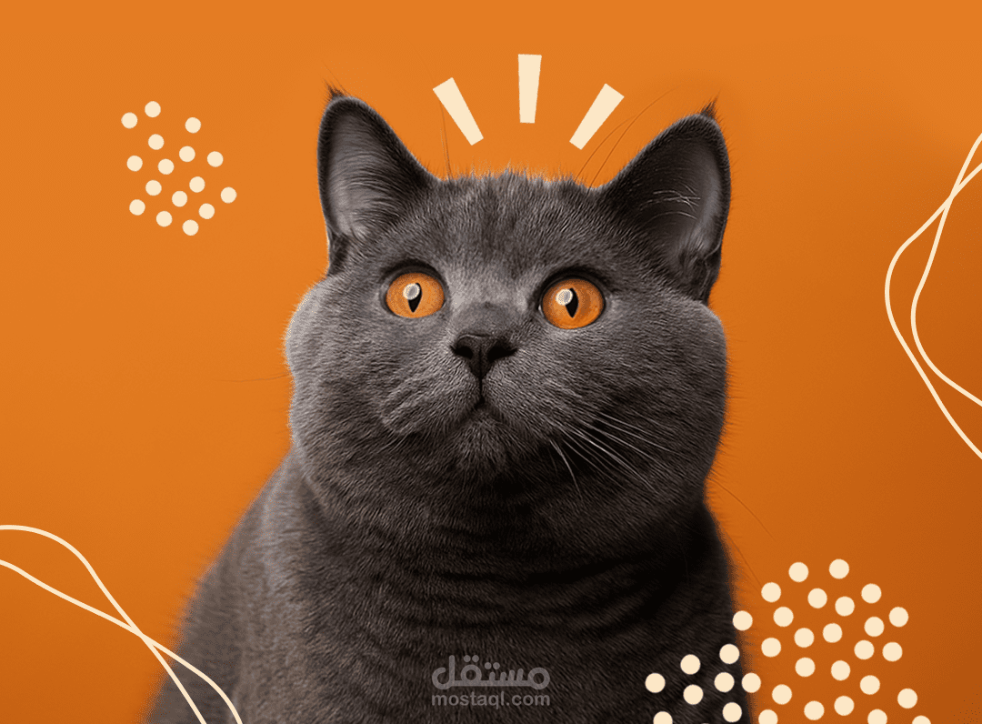 تصاميم سوشيال ميديا للطيف