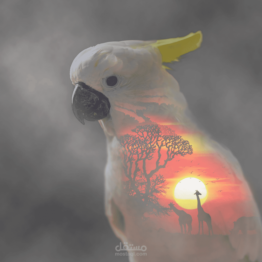 تركيب فني فوتوشوب