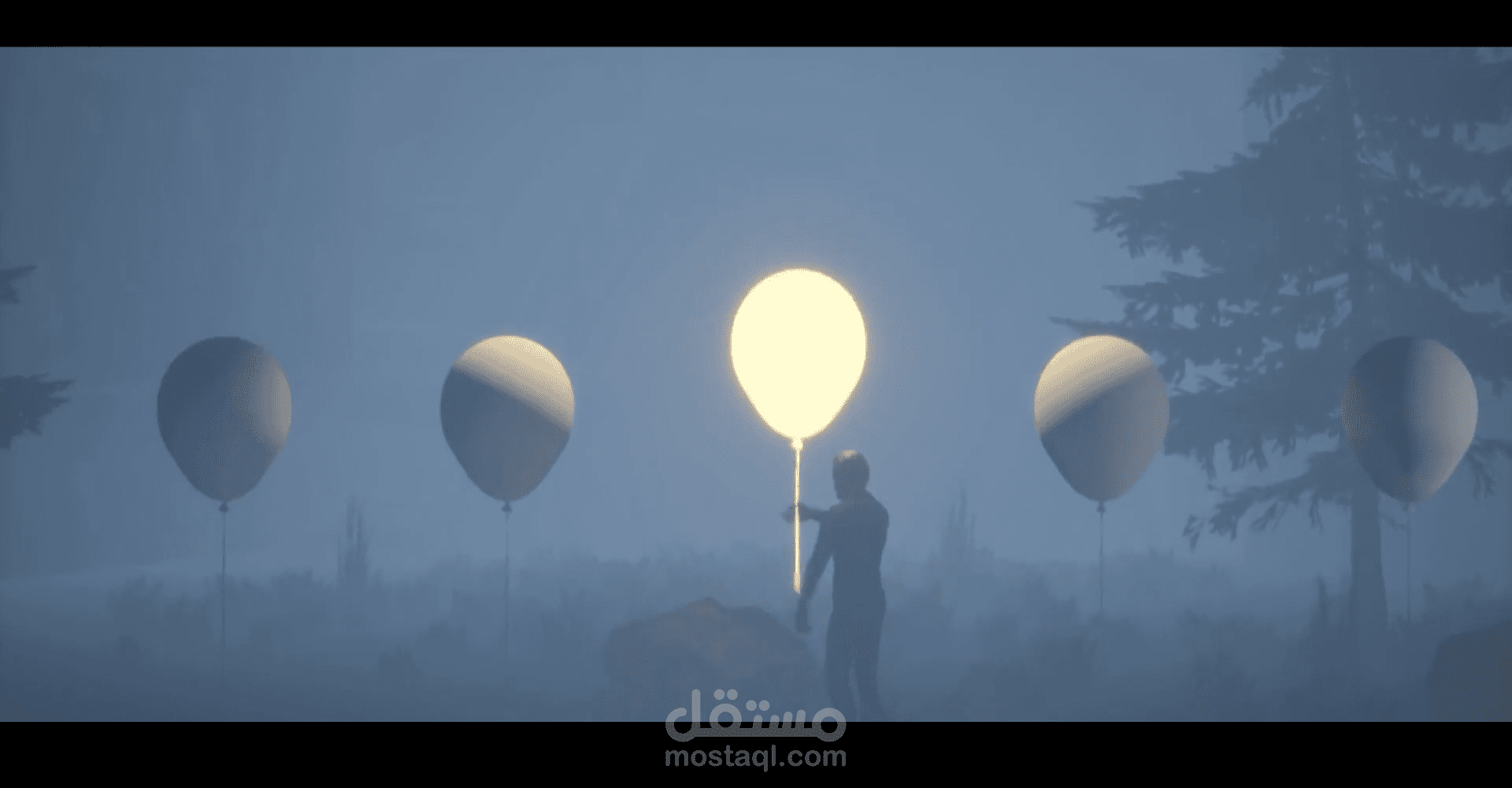 فيديو 3D (قصة نجاح)