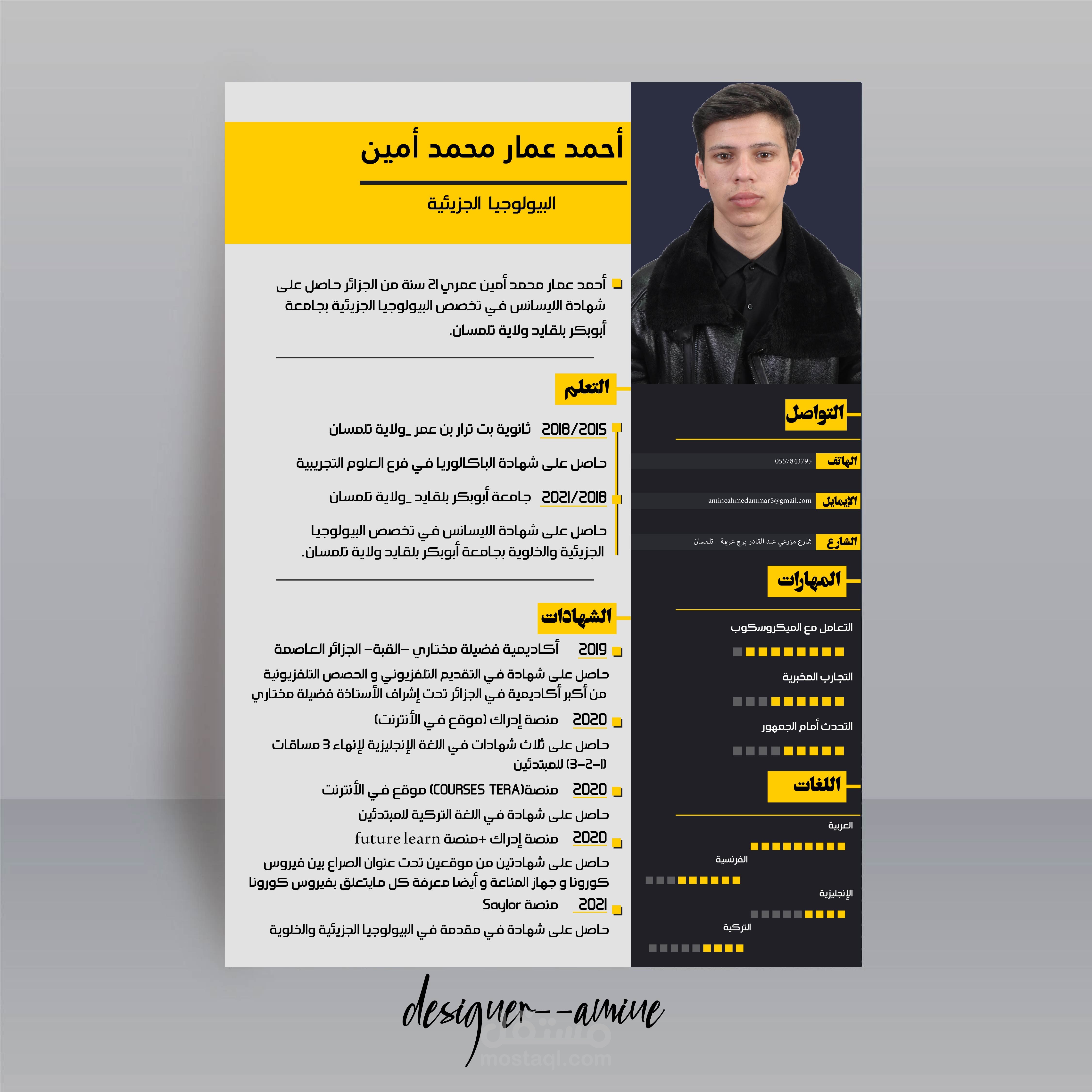 تصميم إحترافي للسير الذاتية باللغة العربية