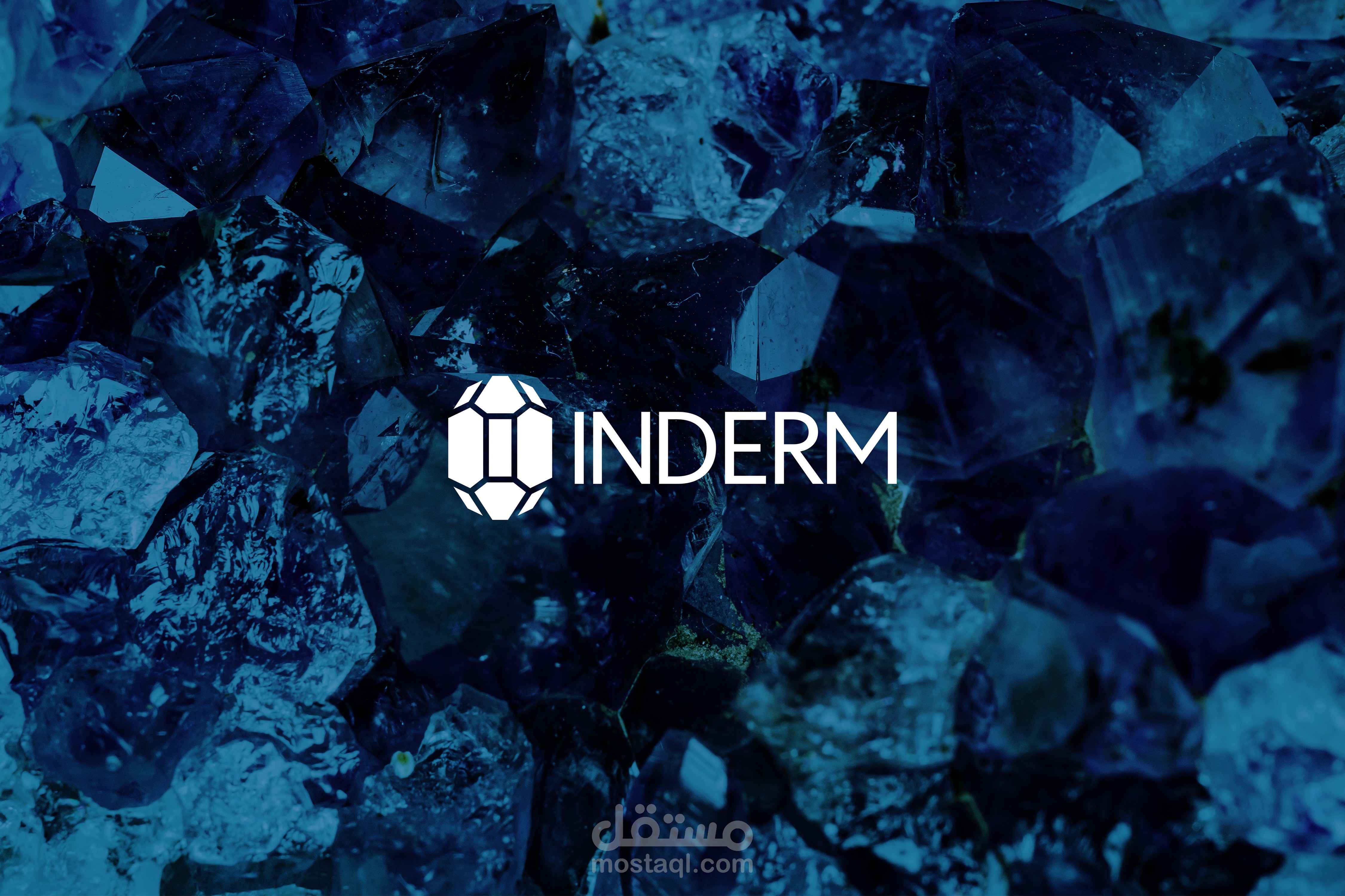 INDERM Rebranding