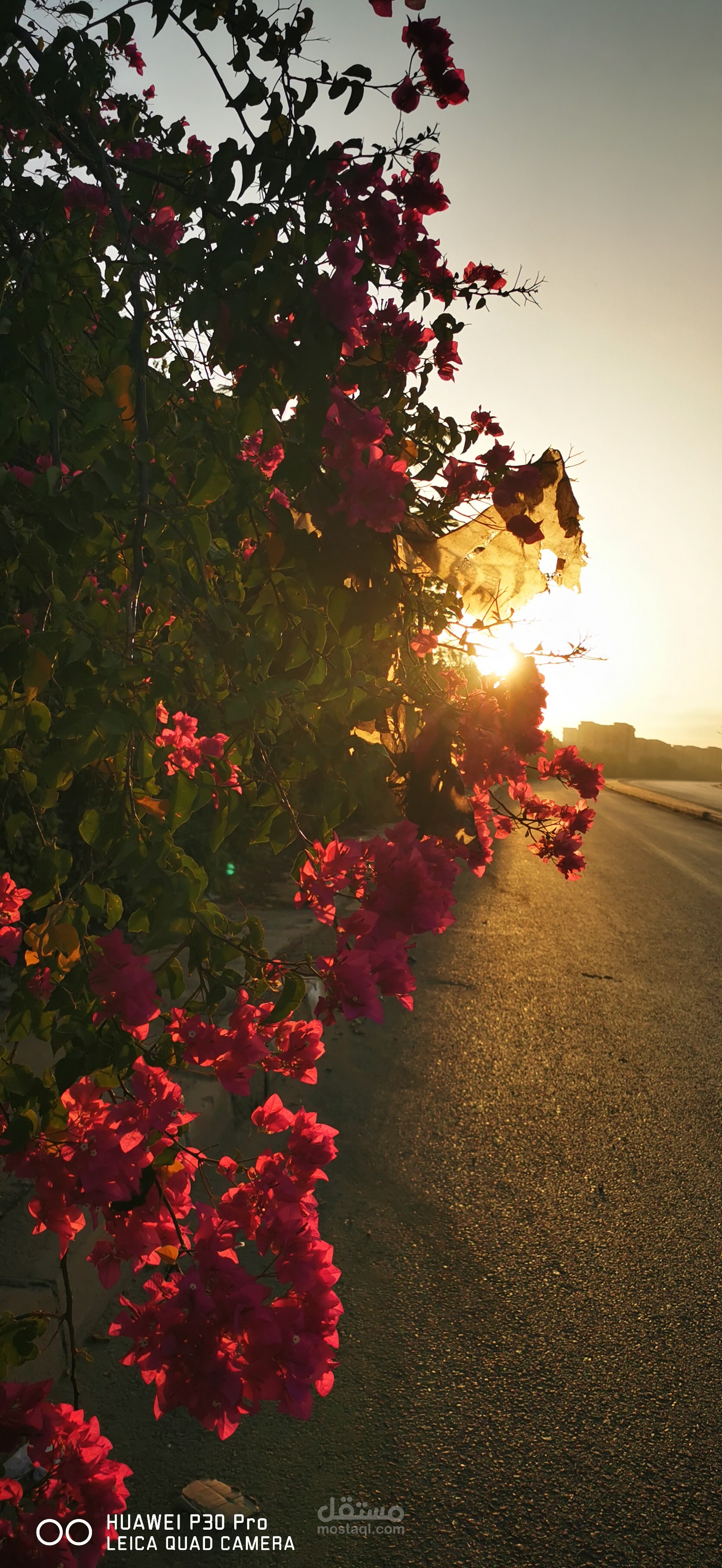 تعديل صور وتصوير