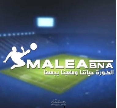 ادارة  وتاسيس موقع ملعبنا