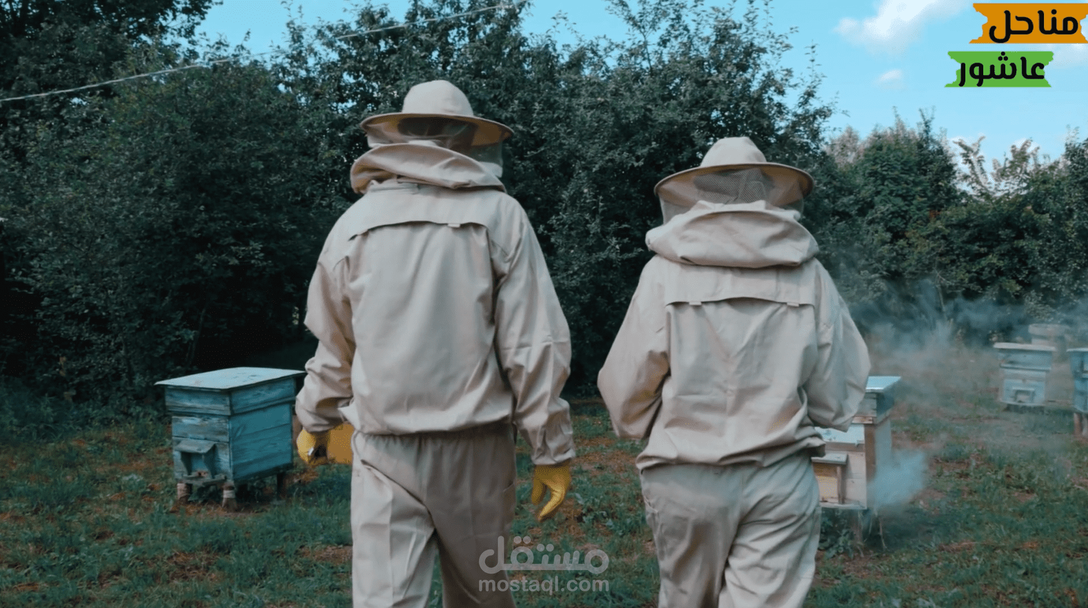 تصميم مونتاج سينمائي لمنحل