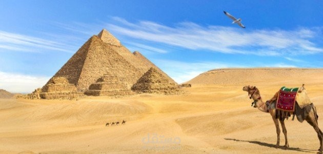 تعليق صوتي باللغة الانجليزية