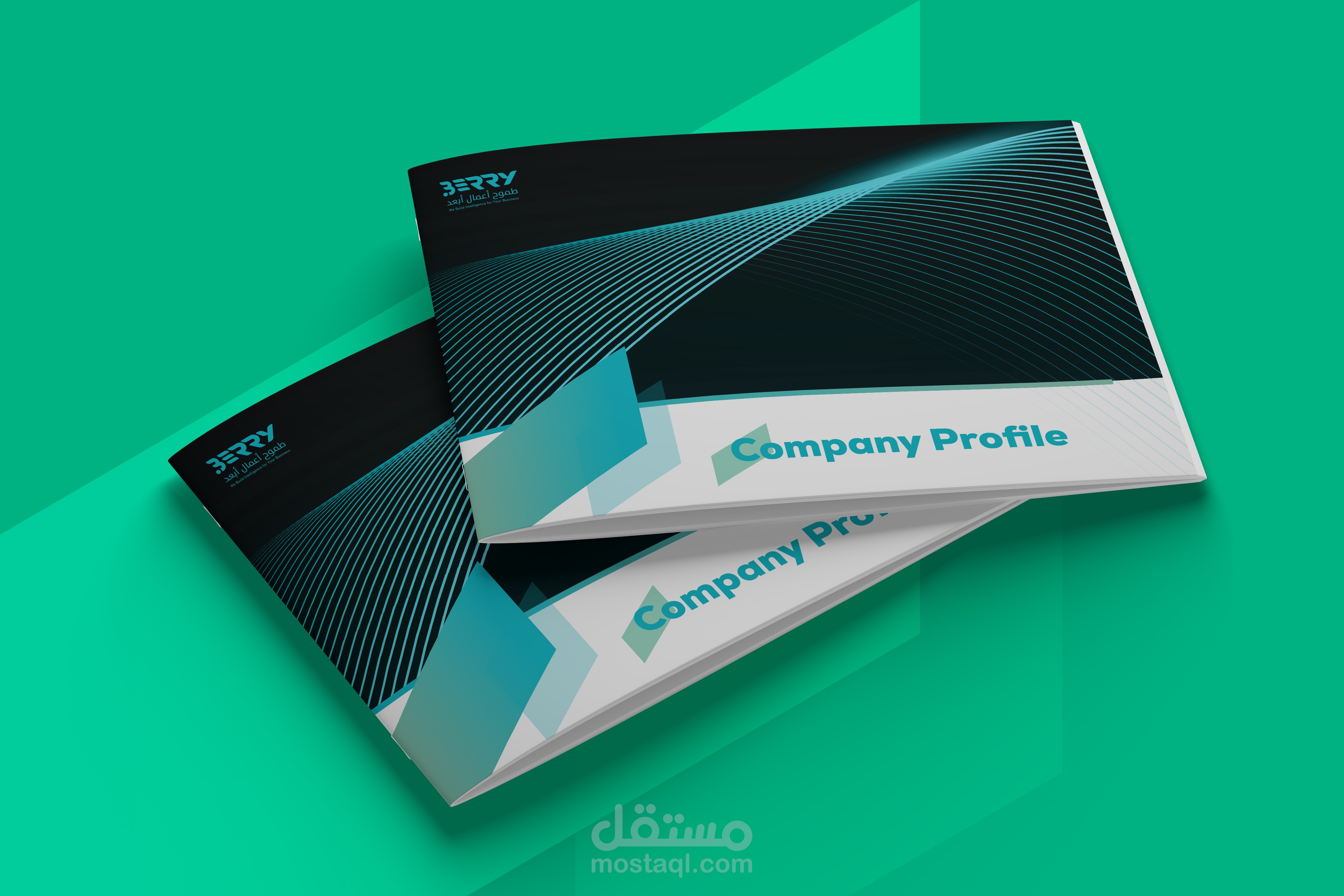 Company profile - ملف تعريفي