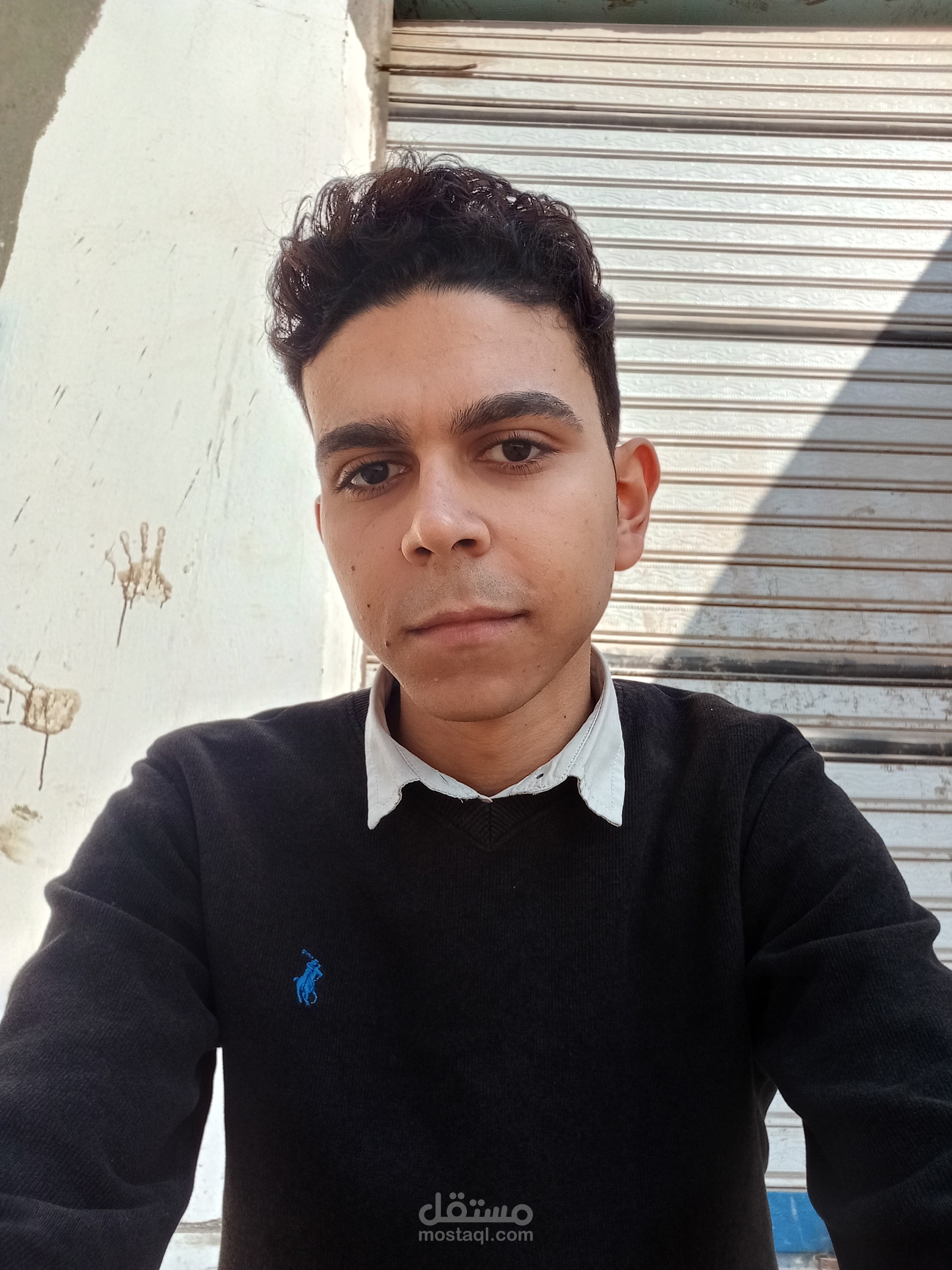 ترجمة مقالات