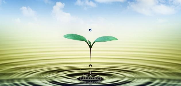 محتوى تحفيزى لفيديو على اليوتيوب