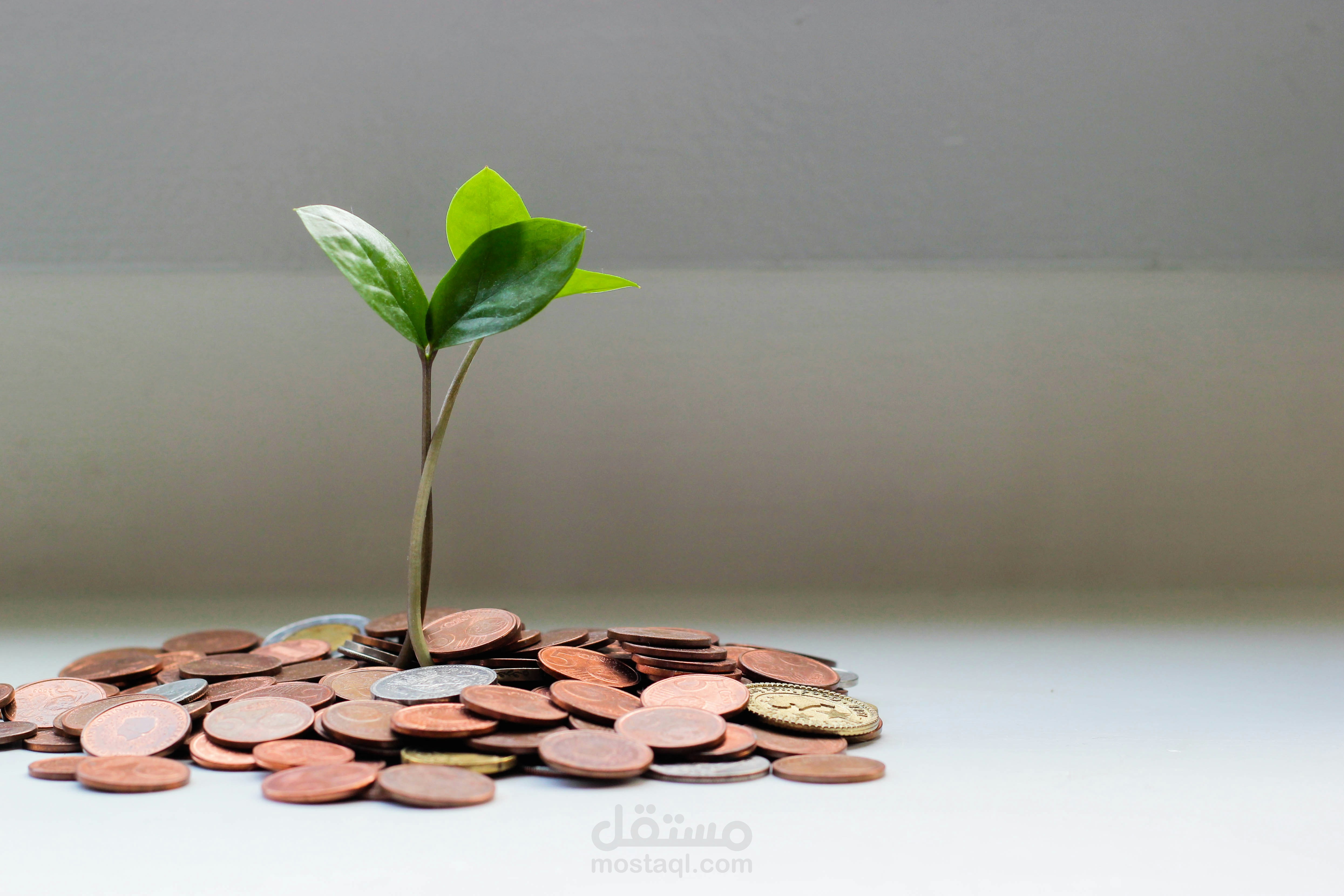 منصة تمويل جماعي (Crowdfunding) – Django REST API