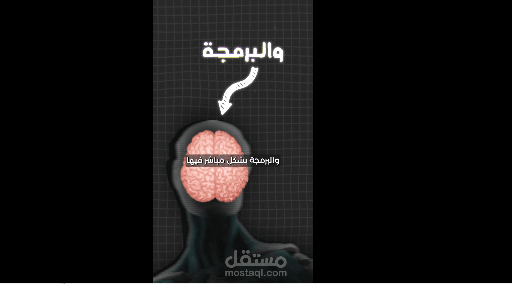 short form video - الشارقة