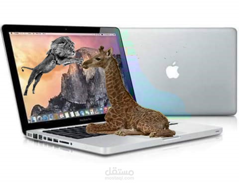 تصميم ابداعى