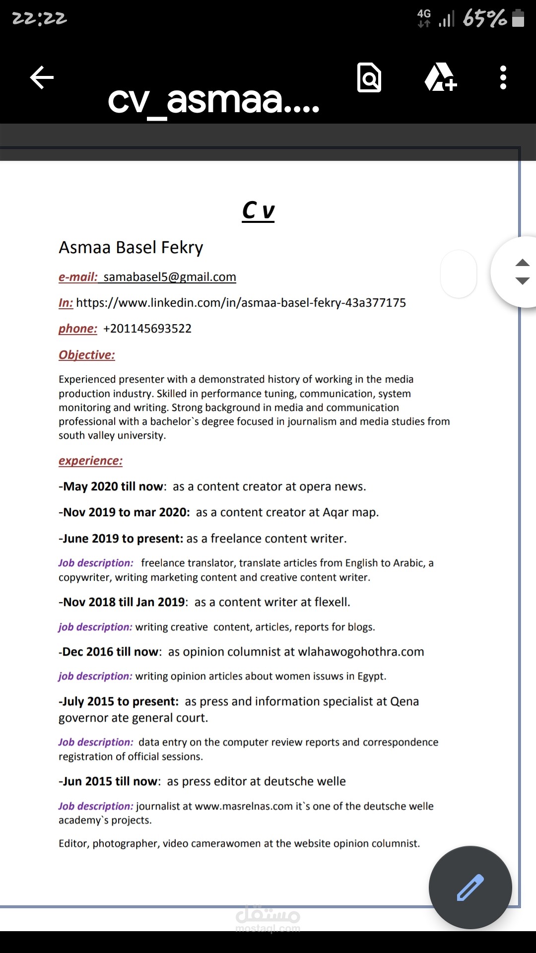 سيرة ذاتية احترافية باللغة الانجليزية بصيغة pdf
