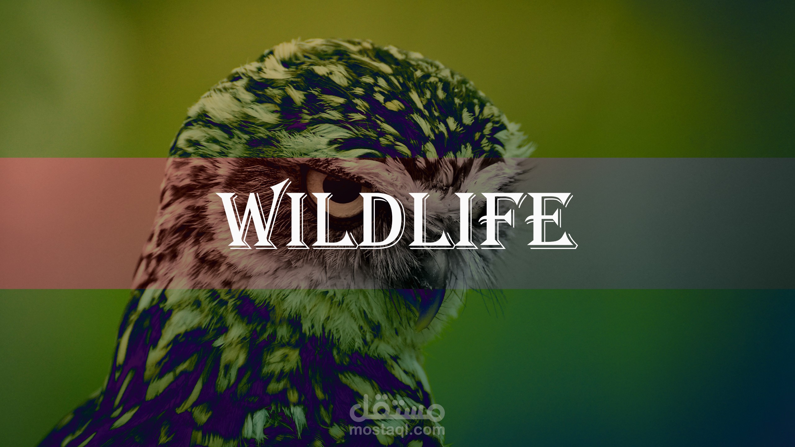 غلاف قناة يوتيوب