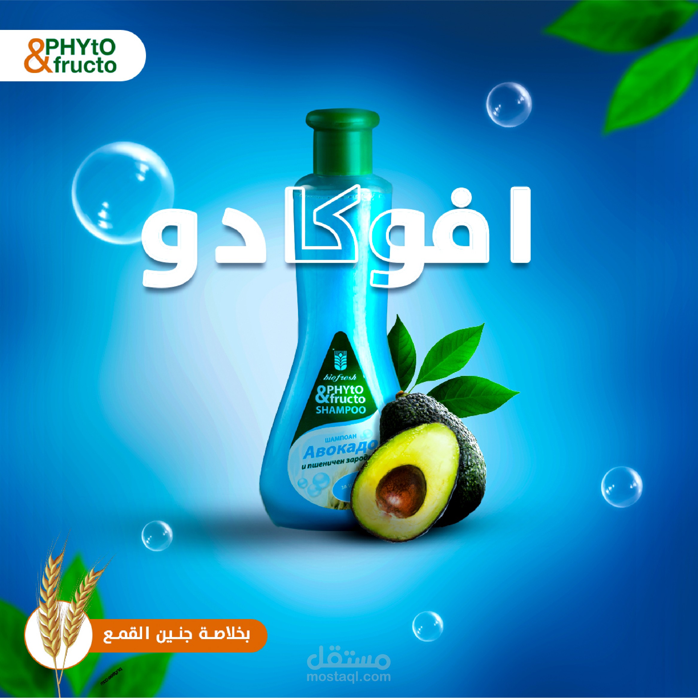 تصميم بوستر فيتو و فركتو (إعلانات وسائل التواصل الاجتماعي)