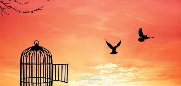 مقال باللغة العربية