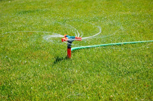 ترجمة مقال علمي من الإنجليزية إلى العربية