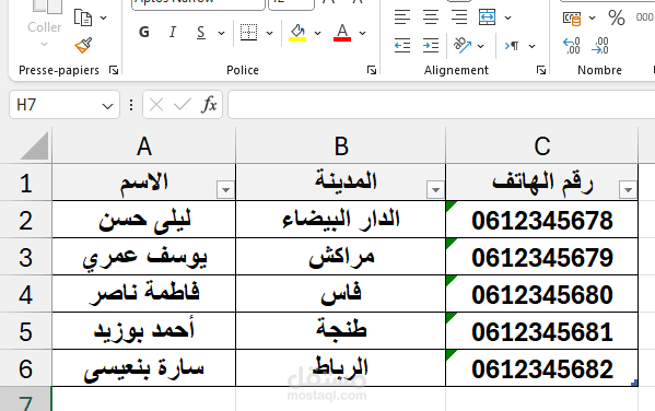 مشروع إدخال بيانات تجريبي