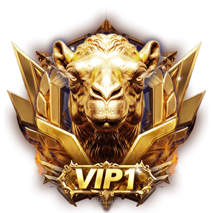 VIP 1-8