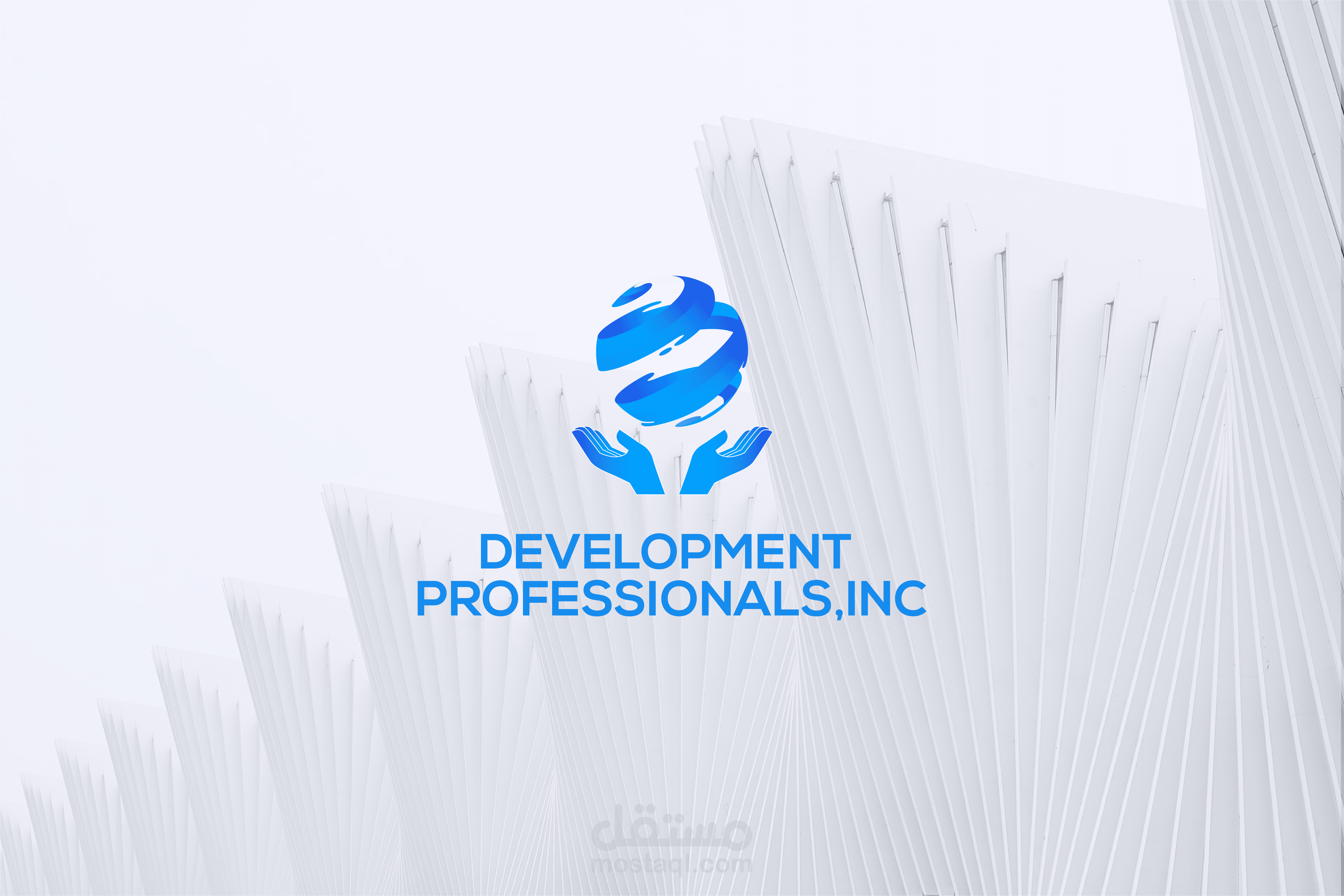 Development professionals,inc