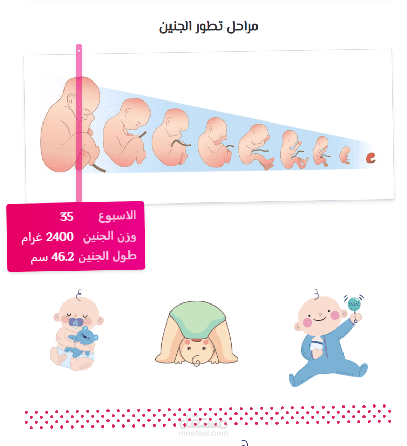 دليل الحامل - تصميم وتطوير حاسبة الحمل وجنس المولود