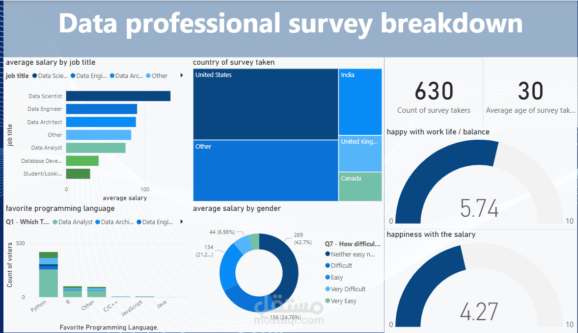 Data Professionals Survey Analysis Dashboard