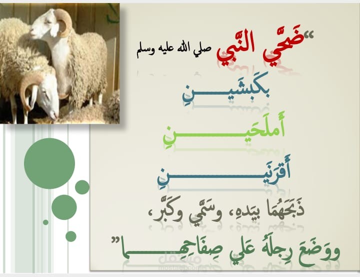 powerpoint (العروض التقديمية)